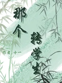 那个转学生（钻A）