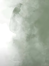 我的内娱老公