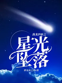 战龙四驱之星光坠落