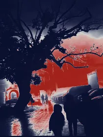 案匿者