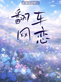 翻车网恋