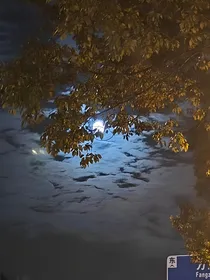 熠风文？