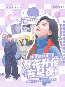 极限挑战10：烟花升停在星夜