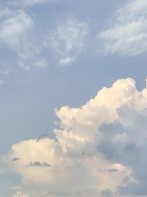 综影视：想今生不问前世