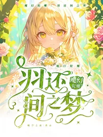 魔幻陀螺：羽还间之梦