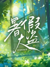 暑假大盗