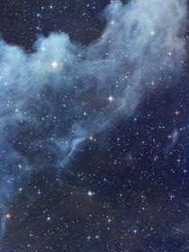 皇族灾星是圣女