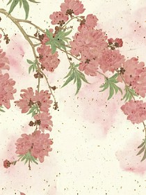 褐衣容