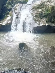 记录小传