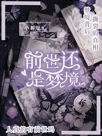 前世还是梦境
