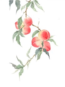 桃子峰上的修仙笔记