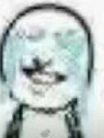 不知道该写什么试试水