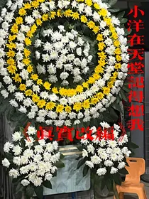 真实改编致小洋（已完结）