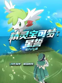 精灵宝可梦：流星的誓约