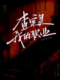 查案是我的职业