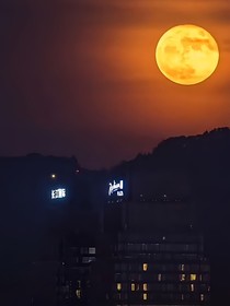 极禹：厌世间