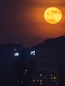 极禹：厌世间
