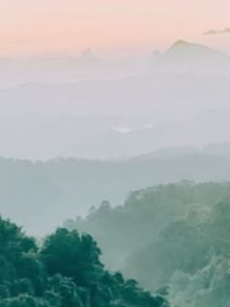 奇葩梦