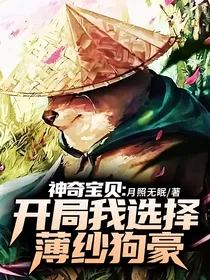神奇宝贝：开局我选择薄纱狗豪
