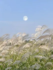 星座拟人：奇异小镇