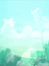 可惜那年是苦夏