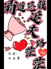 霸道总裁追夫路茫茫