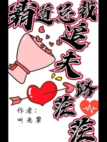 霸道总裁追夫路茫茫