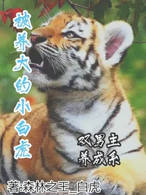 被养大的小白虎