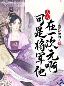 夫人，可是将军他在一次元啊！