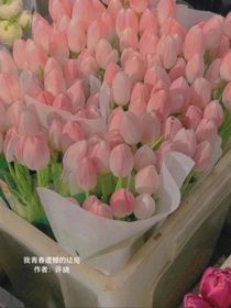 我青春遗憾的结局