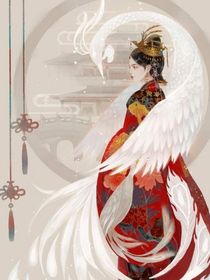 风云后宫