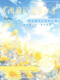 西游记2010版第二季