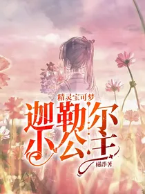 精灵宝可梦：迦勒尔小公主