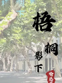 梧桐影下