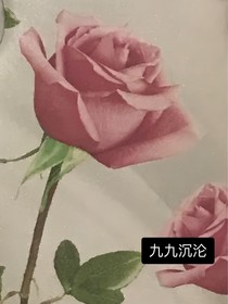 九九沉沦