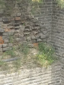 黑色故事集