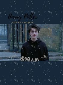 HP：透明人的一天