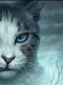 猫武士外传：异天的长夜