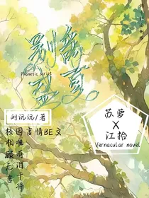 那年的第一场雪