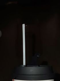 背靠阳光