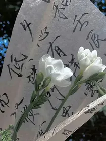 青梅日记