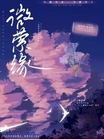 碎冰蓝花季