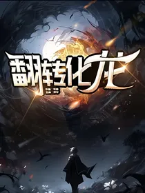翻转化龙