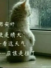 误入歧路