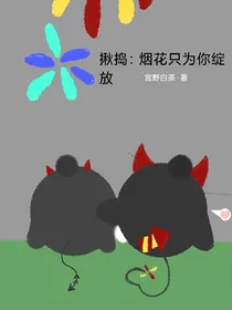 揪捣：烟花只为你绽放
