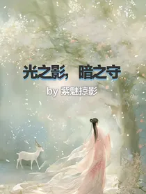 光之影，暗之守
