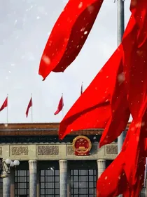 我只是新警，为什么白衣大佬都来找我