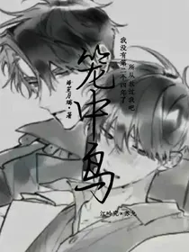 双男主：笼中鸟