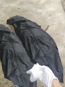 似乎是废弃物投放点呢……要不要去看看？