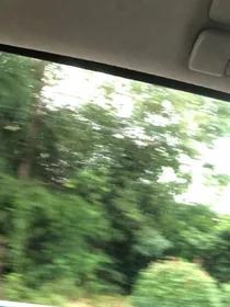 平静的绝望